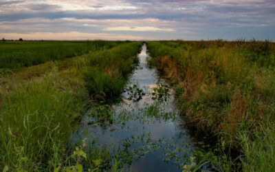 Helpful Information on Irrigation and Water Rights